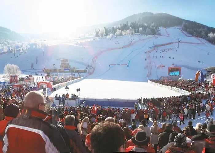 Apartment Bella Vista *